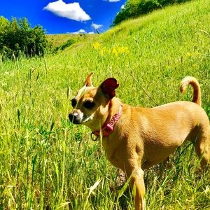 Meet your Posher, Maria